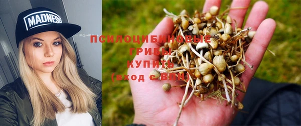 хмурый Армянск